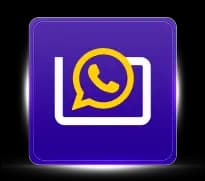 WhatsApp icon